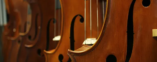 Violins
