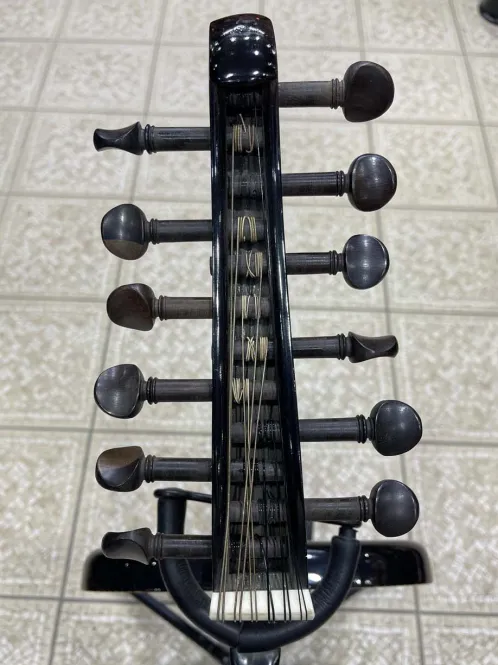 Salmeen Electric Oud