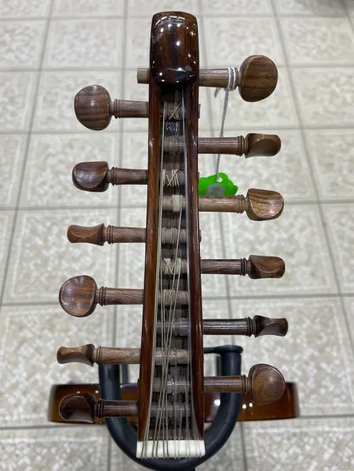 Salmeen Electric Oud (Classic Body)