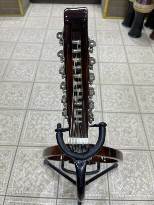 Salmeen Electric Oud (Modern Frame)