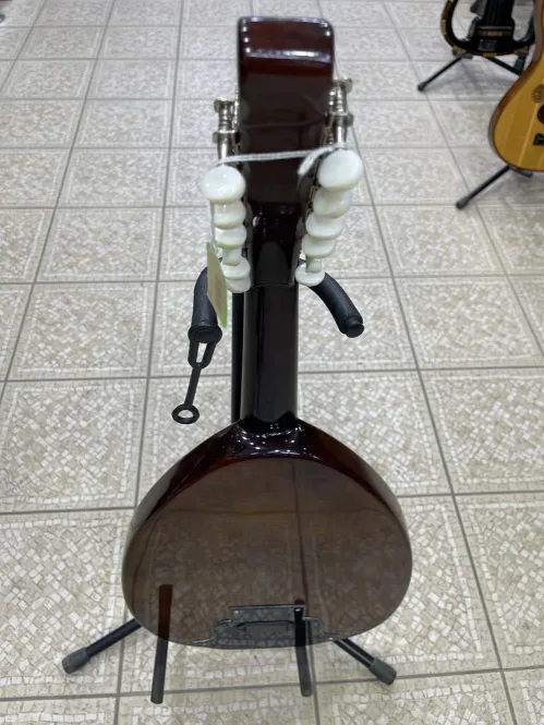 Salmeen Electric Oud back