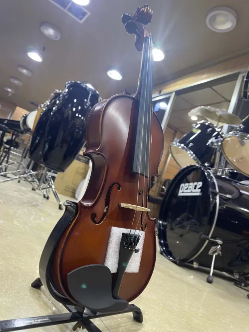 Desire Electric Violin – Classic Wooden Finish