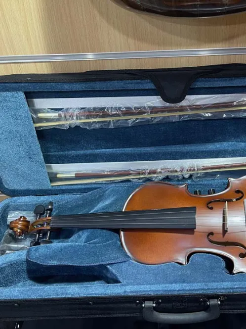 Desire Electric Violin – Classic Wooden Finish