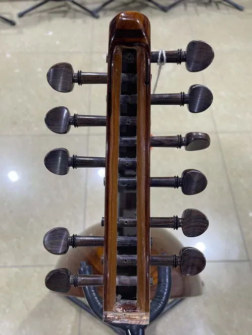 Egyptian Oud – Sunburst Finish